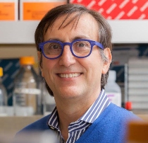 Alessandro Sette, Dr Biol Sci 