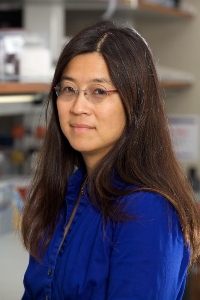 Louise Laurent, MD, PhD